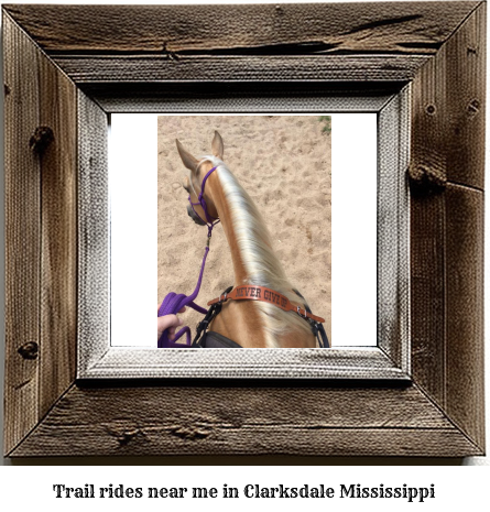 trail rides near me in Clarksdale, Mississippi